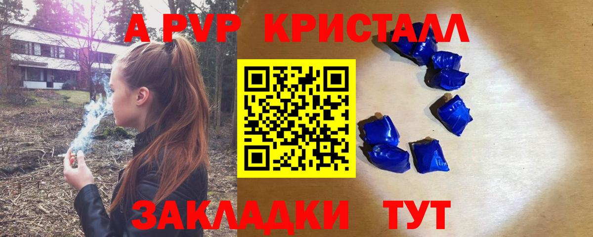 Alfa_PVP СК Киселёвск